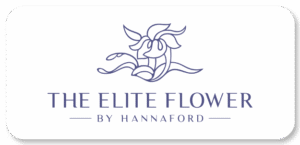 About logo Elite Flower